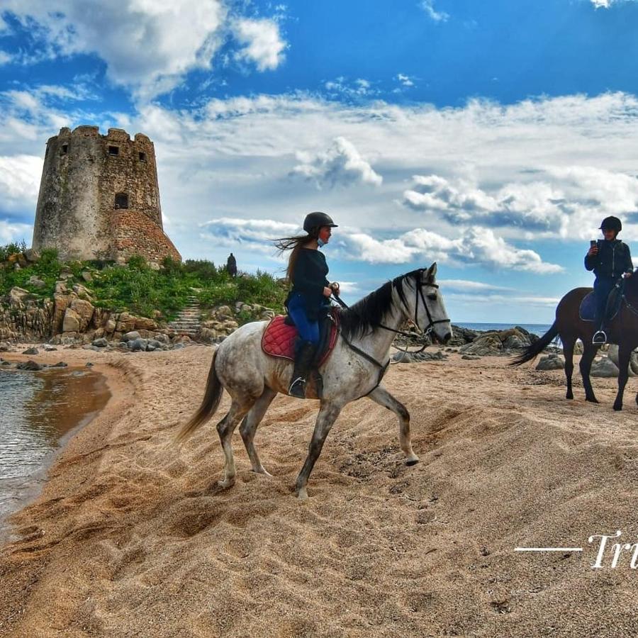 B&B Is Callelleddus Bari Sardo Dış mekan fotoğraf